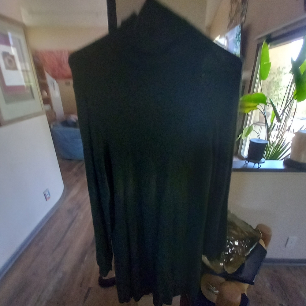 Ann Taylor turtleneck dress